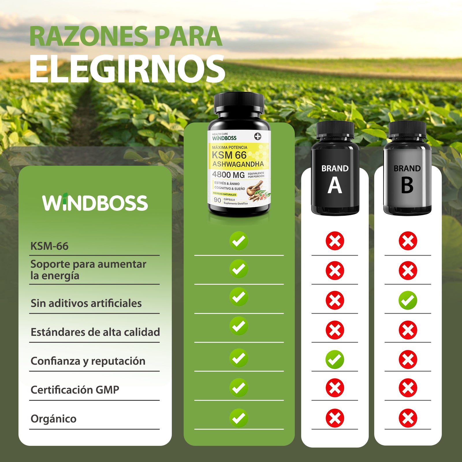 Cápsulas de Ashwagandha KSM-66 4800mg, Suplemento Orgánico de Ashwagandha, Sin Gluten, No Transgénico, Vegano, con Pimienta Negra para Mejor Absorción, Alivio del Estrés, Energía y Apoyo al Sueño - 90 Cápsulas