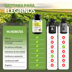 Cápsulas de Ashwagandha KSM-66 4800mg, Suplemento Orgánico de Ashwagandha, Sin Gluten, No Transgénico, Vegano, con Pimienta Negra para Mejor Absorción, Alivio del Estrés, Energía y Apoyo al Sueño - 90 Cápsulas