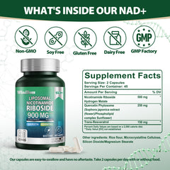 WINDBOSS® 90 Capsules NAD+