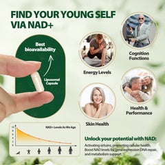 WINDBOSS® 90 Capsules NAD+