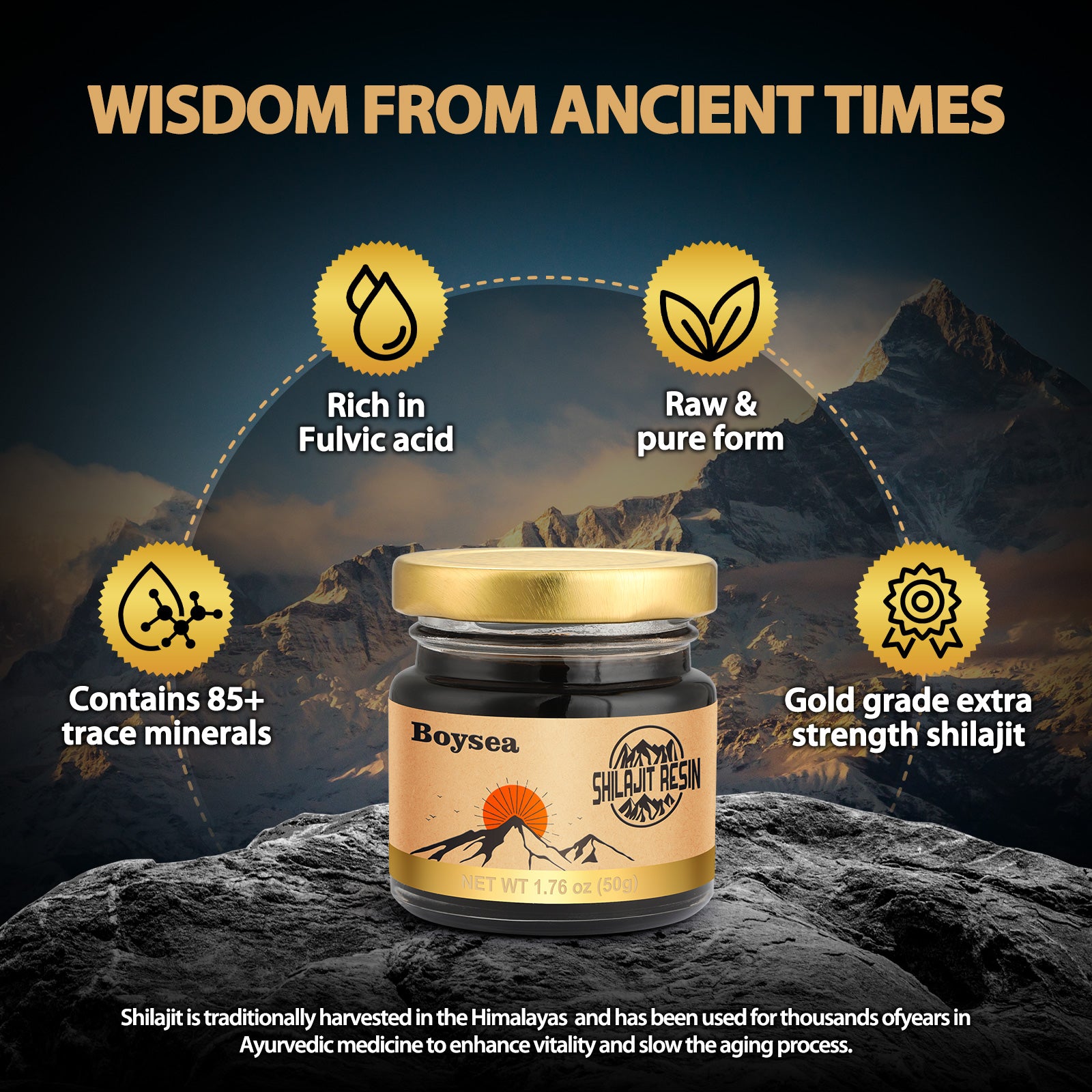 BOYSEA® Pure Shilajit Resin