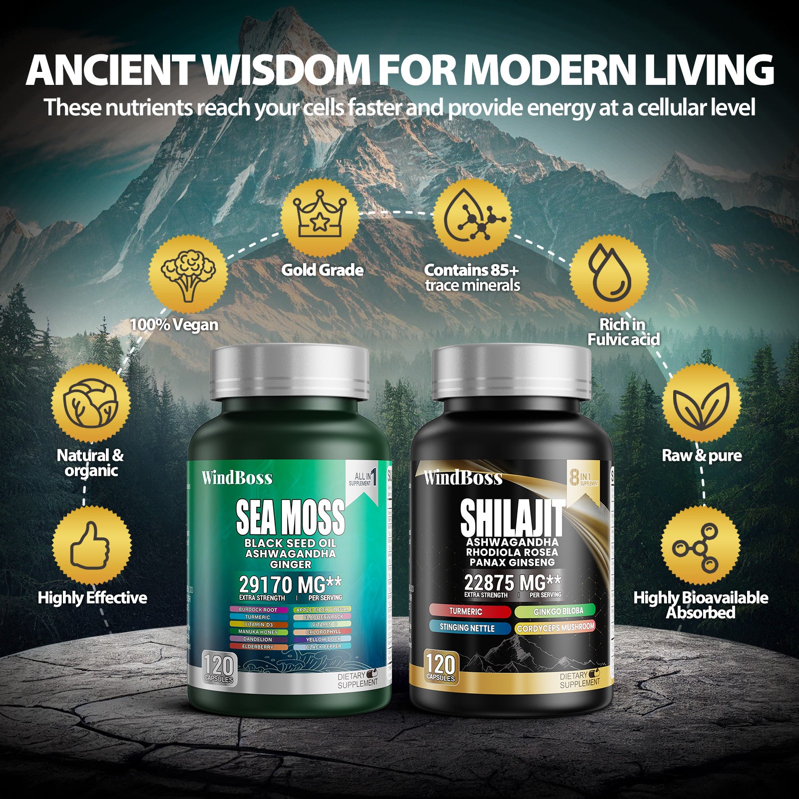 WINDBOSS® Sea Moss and Shilajit Bundle