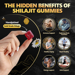 WINDBOSS® Pure Shilajit Gummies